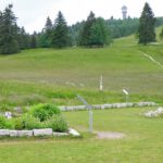 Naturgarten für Faule Naturgarten für Faule