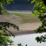 Dem Bewuchs nach liegt die Terrasse schon ein paar Wochen trocken