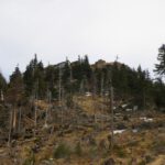 Totwald, links oben das Albert-Willmann-Haus