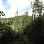 Mühlbuchet Mühlbuchet