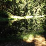 Mystischer Weiher am Stückberghang