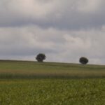 Aufgereiht Aufgereiht