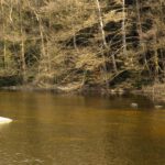 ...und zwei winzige Felsinseln