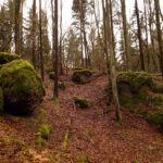 Der Fantasie sind keine Grenzen gesetzt