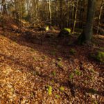 Graben am Alten Thanstein
