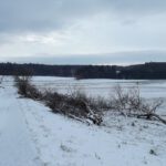 Gefällt und nicht abgeholt