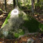 Hinter den Sinn der 20 bin ich noch nicht gekommen