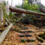 Hagrid darf hier nicht rein Hagrid darf hier nicht rein