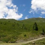 Dort oben wollte ich eigentlich entlang Dort oben wollte ich eigentlich entlang