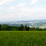 Im Hintergrund zeigte sich der Oberpfälzer Wald Im Hintergrund zeigte sich der Oberpfälzer Wald