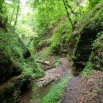 In der Engen Schlucht In der Engen Schlucht