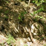 Auch das Holz ist teilweise brüchiger als das Karwendel