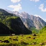 Watzfamilie von hinten Watzfamilie von hinten