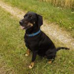 Tessa kann ganz brav sein