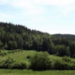 Hundsleite und Friedrichsberg