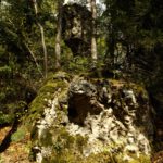 Schlange mit Herrchen