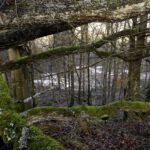 Durchblick zum Granitsteinbruch