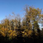 Wo sind all die Wolken hin? (Nicht dass ich mich darüber beklagen würde)