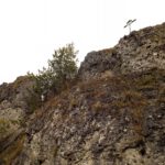 Darauf verzichte ich lieber mal