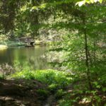 Durchblick zum Brückerl an der Höllbachschwelle