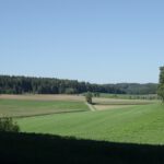 Der Weg nach Hartenhof mit Orientierungsbaum