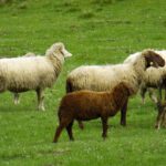 Ich bin anders und stolz darauf