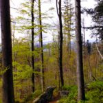 Bei AKW hätte man hier einen Anflug von Aussicht Bei AKW hätte man hier einen Anflug von Aussicht