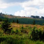 Eigentlich wollte ich da oben entlangwandern Eigentlich wollte ich da oben entlangwandern