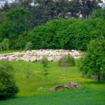 Ui, was ist denn da unten? Ui, was ist denn da unten?