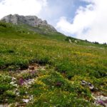 Der Fronalpstock während der etwa 20-minütigen AKW-Phase mit nicht weniger hübscher Blumenwiese unterhalb Der Fronalpstock während der etwa 20-minütigen AKW-Phase mit nicht weniger hübscher Blumenwiese unterhalb