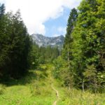 Der Plassen rückt näher