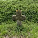 Genau, in diese Richtung geht es nach Neustadt