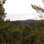 Ein bisserl Aussicht