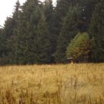 Im Regen auf dem Weg zur Klostermannova vyhlídka