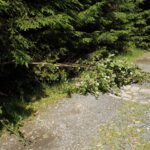 Der einzige Weg zum Licht