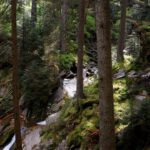 Zulauf zum Wasserfall Zulauf zum Wasserfall