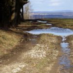 Oberpfälzer Pfützenplatte