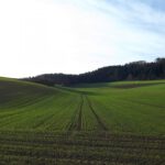 Die Schatten werden länger Die Schatten werden länger