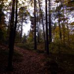 Ankunft am Aussichtsturm