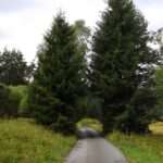 Baumportal Baumportal