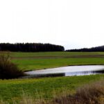 Ein sanfter Wind streicht über die Wasseroberfläche