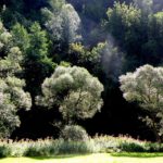 Künstlerduo Sonne und Wind