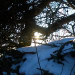 Durchblick zur Sonne