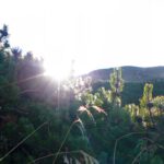 Ist heute wirklich der 13. November? Ist heute wirklich der 13. November?