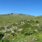 Karstvegetation Karstvegetation