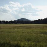 Wiesenland vor dem Sokol