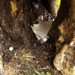 Geocache einer anderen Gruppe