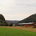 Sägewerk in Unterbürg