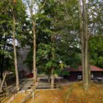 Bergfried und Biergarten von hinten