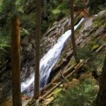 Bílá strž Bílá strž